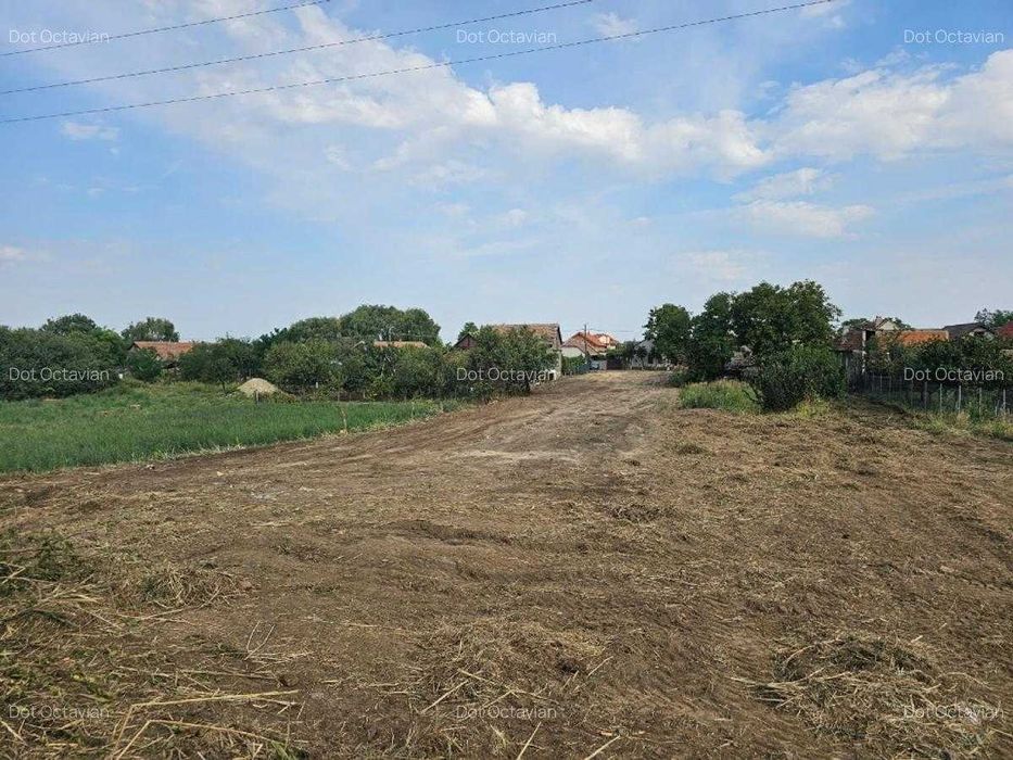 Teren de vanzare Dudestii noi