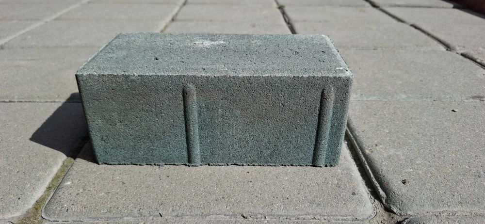 Тротуарная плитка (100х200х80)