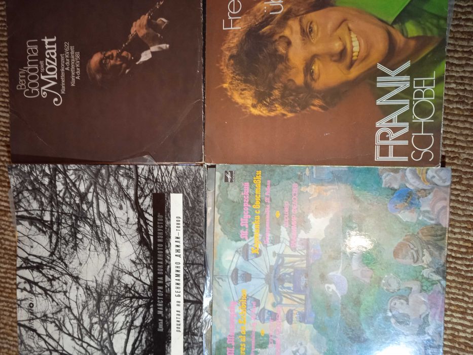 Грамофонни плочи/различни видове , повечето в почти ново състояние.