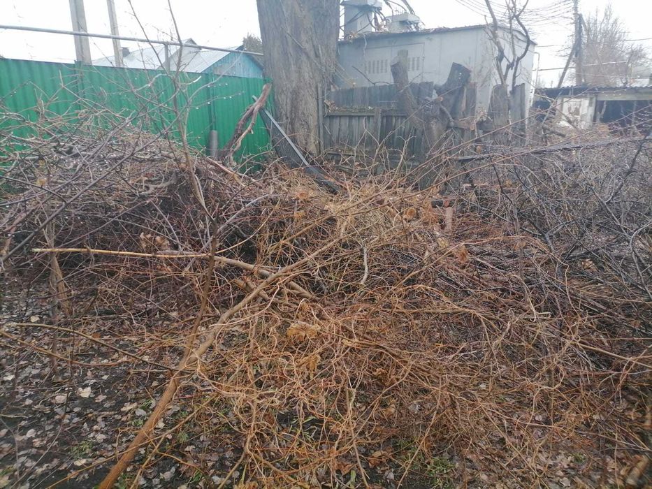 отдам дрова. Самовывоз