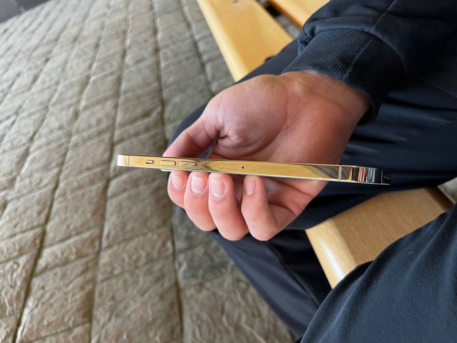 iPhone 12 Pro max