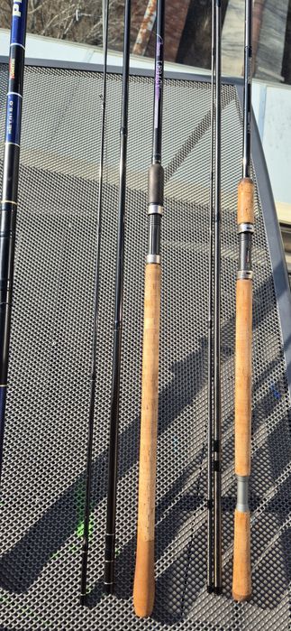 Болонеза и мачове