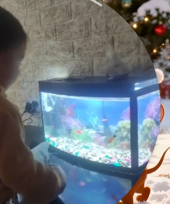 Akvaryum sotiladi 20 litr