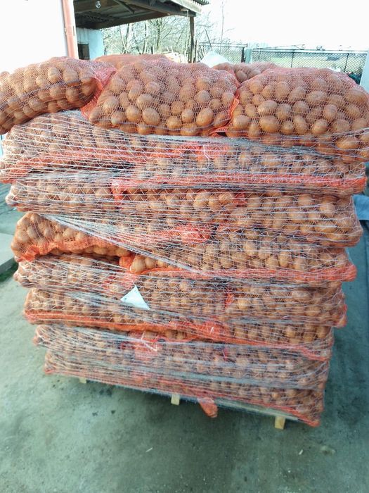 Vand Cartofi Samanta Carrera