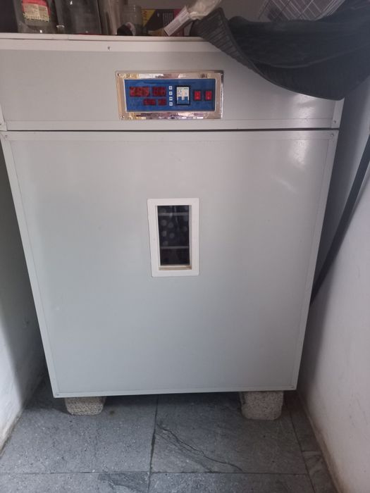 Инкубатор новый .