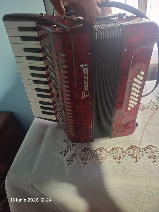 Acordeon parrot de vânzare