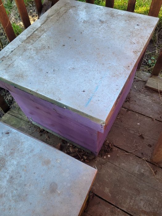 Stupi albine goi și cu rame