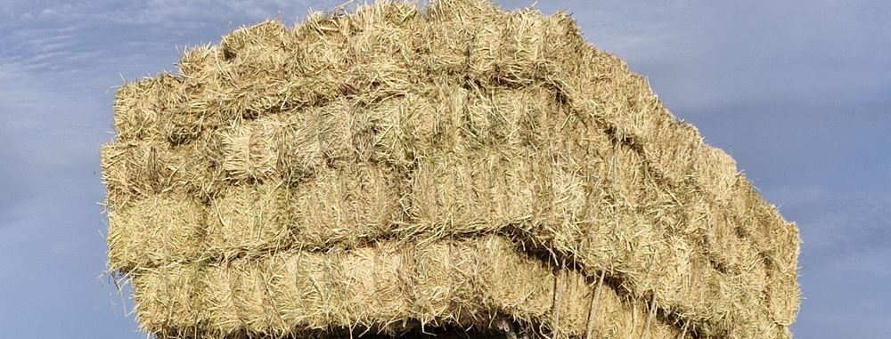 Сабан прес бар жеткізу бар