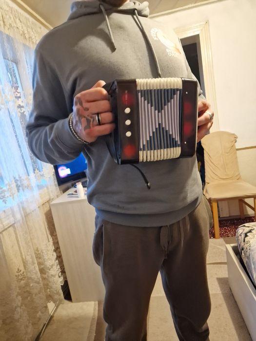 Acordeon mic air valve