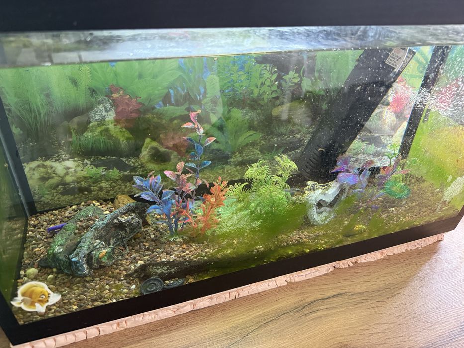 Аквариум 50 литров