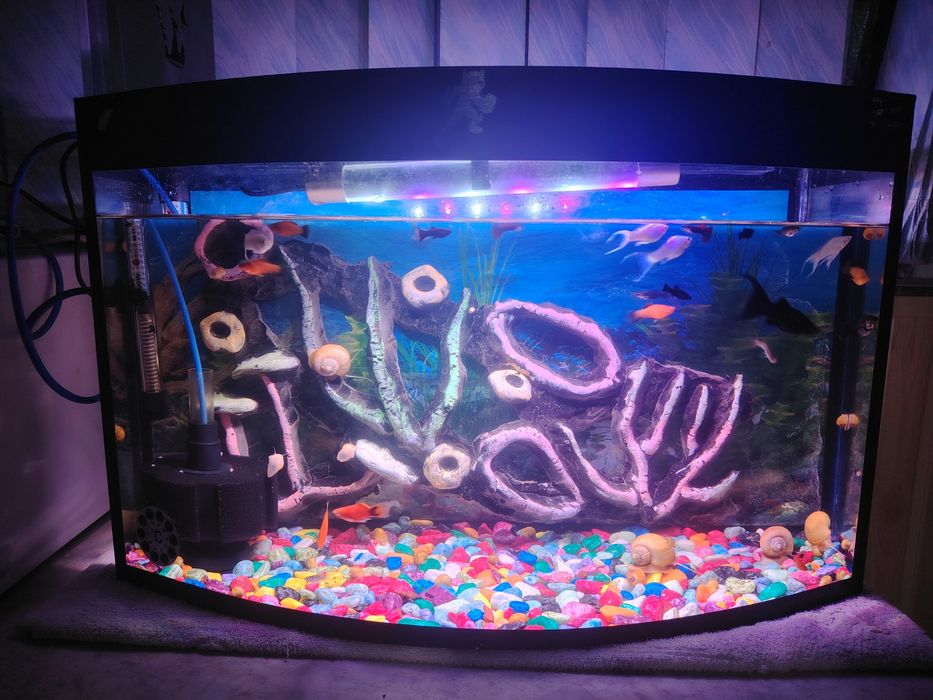 Akvarium komplekt 60Litr