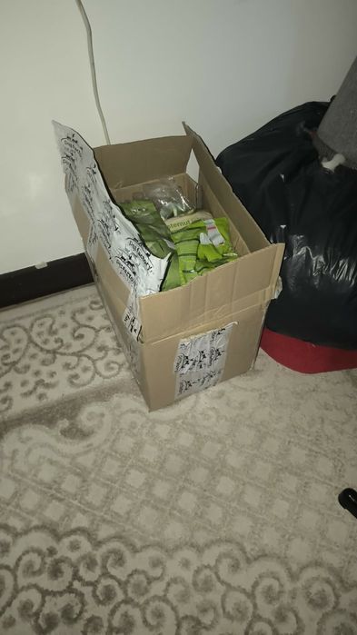 Vând hamster cu tot ce se vede în imagini