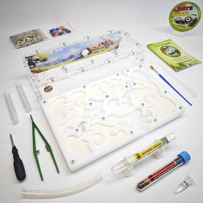 ГИПСО-Акриловый Формикарий "ACE" ||| Муравьиная ферма - Муравьи жнецы