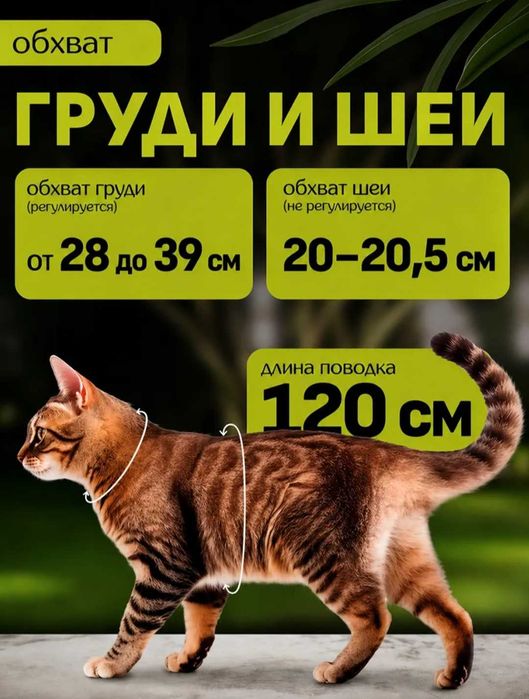 Шлейка+ поводок для собачки