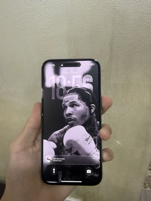 Iphone 14 pro max читай описание