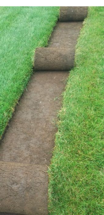 Gazon rulou si montaj