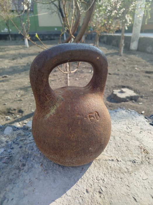 Полвон тош 24 кг