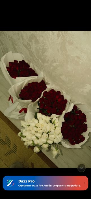 жаңа кеше алынған.