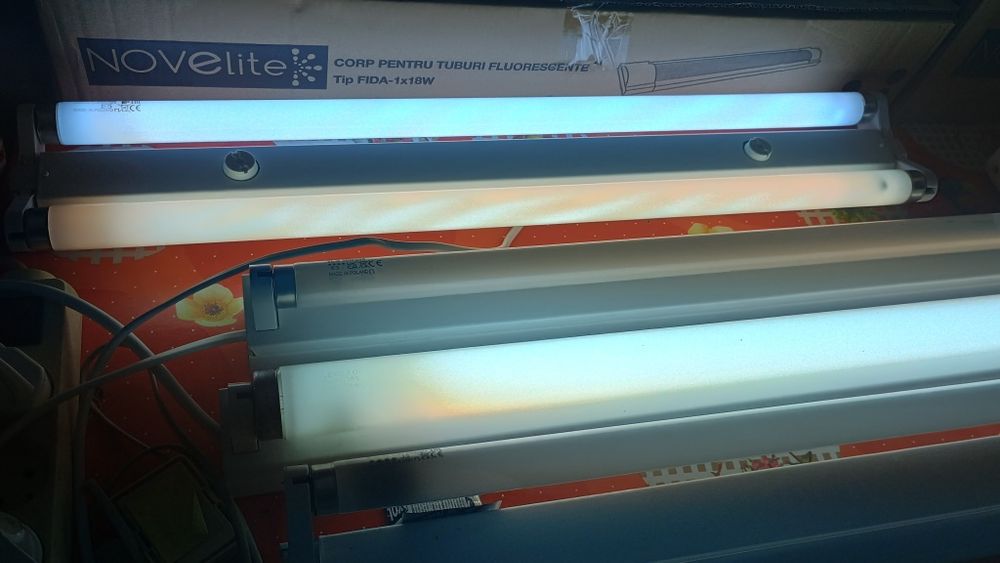 Vand/Schimb corpuri de neon fluorescent