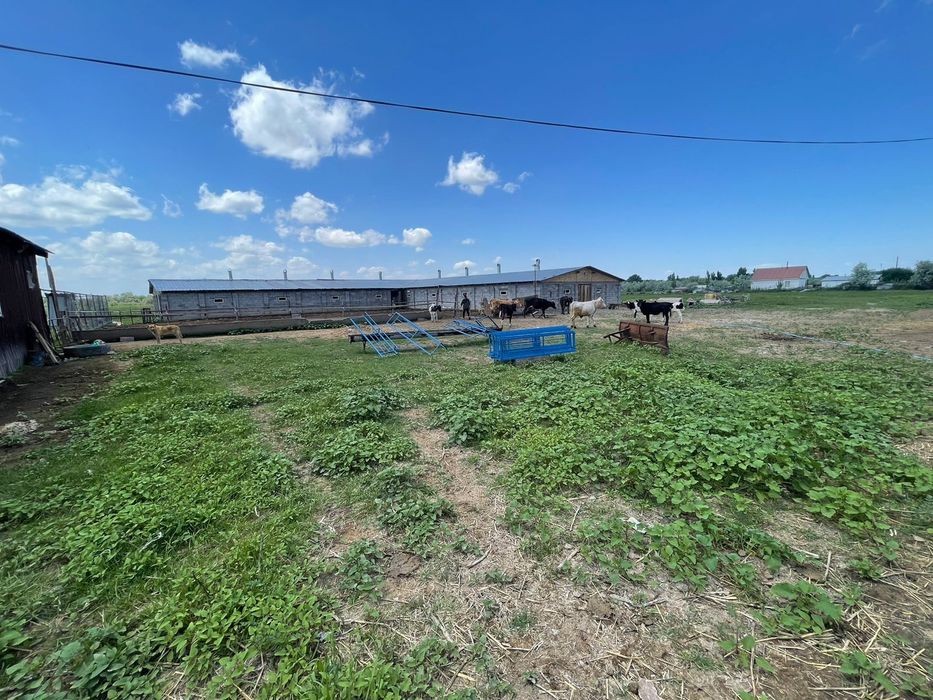 Крестьянское хозяйство