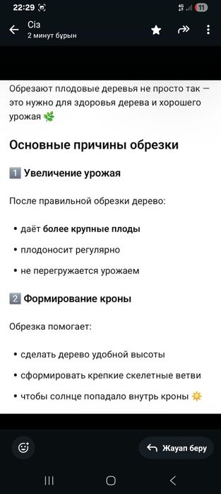 Обезка плодовых деревьев.