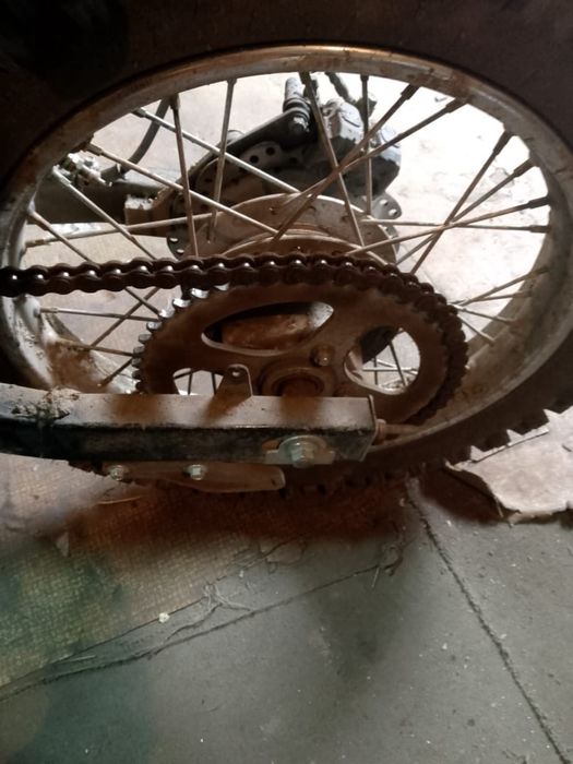 Rасеr pantera 300