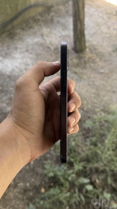 iPhone 12.