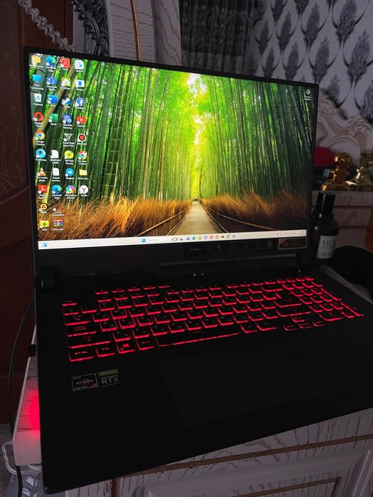 Asus ROG Strix G713IM AMD RYZEN 8