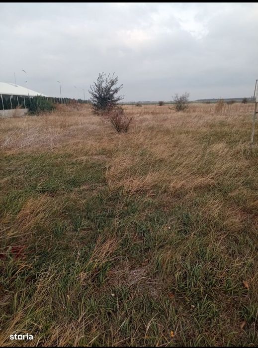 EXCLUSIVITATE! Teren intravilan Sos. Spatarului