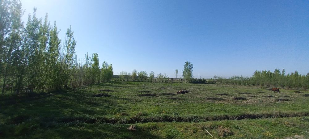 Srochni yer sotiladi