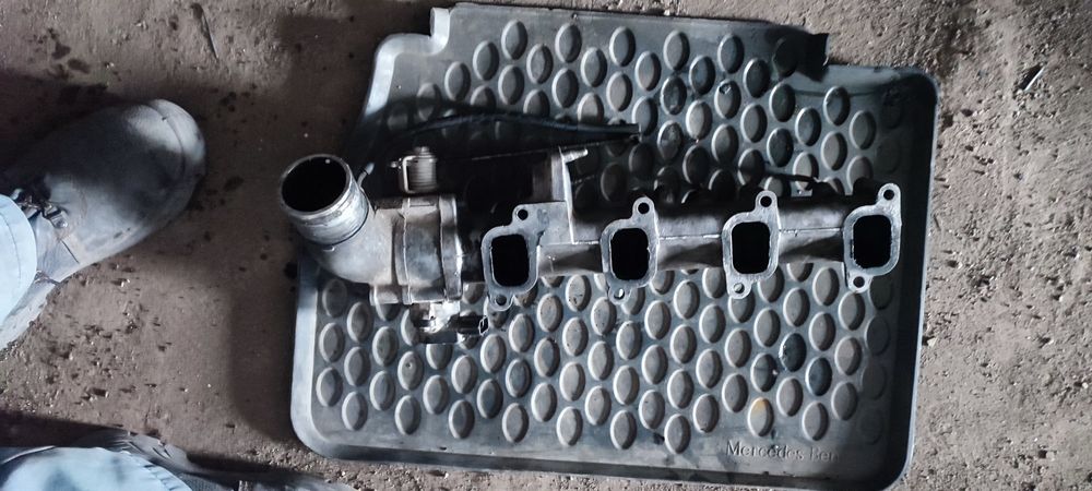 Тойота эстима люсида