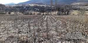 Продава се Земеделски имот в Благоевград, Освобождение -  кв.м за 4 €/дка - Снимка #1