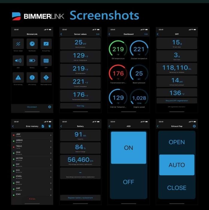 Bm+ interfata diagnoza BMW Bimmer Code si Bimmer Link Codare BMW iOS și Android Regenerare DPF Seriile E, F si G