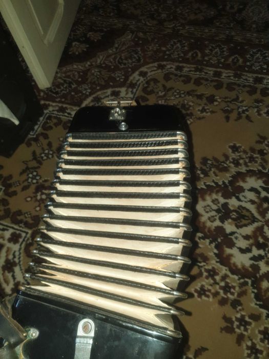Acordeon Ecelsior