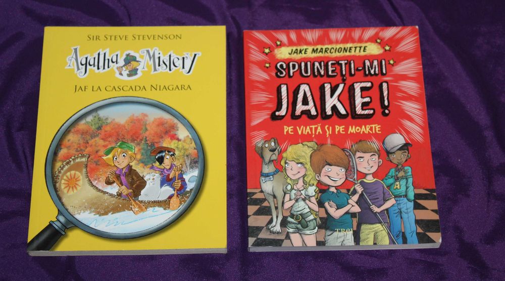 22 carti pentru copii Pinocchio Micul Print Micutele doamne Prizonierul din Zenda Erich Kastner Emil si detectivii Comandantul cetatii de zapada