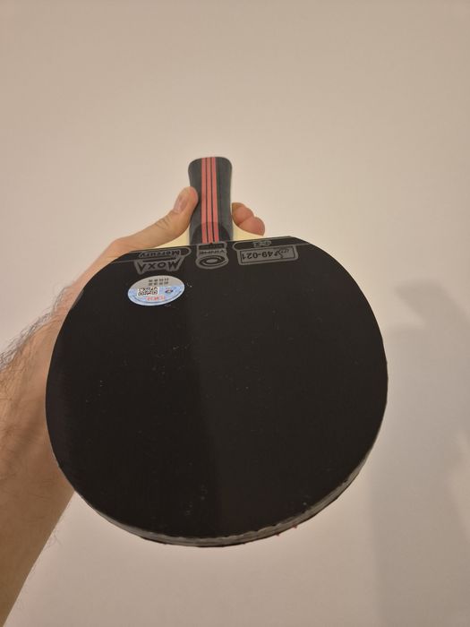 Paletă ping pong de apărare | perturbare joc