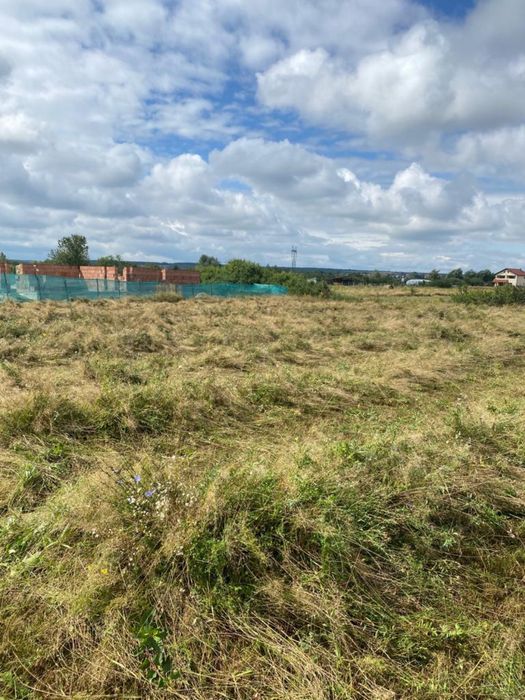 Servicii de defrișat, curățat, cosit, tuns și nu numai