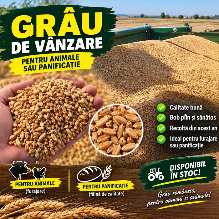 Vând grâu producție2026!