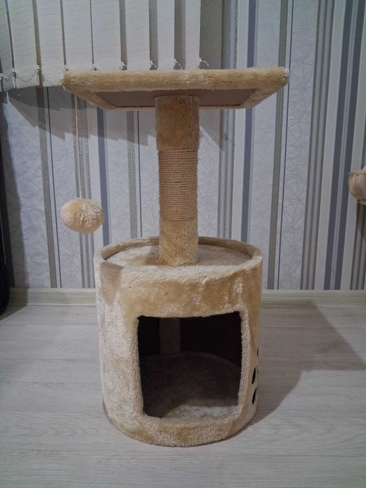 Котешка катерушка