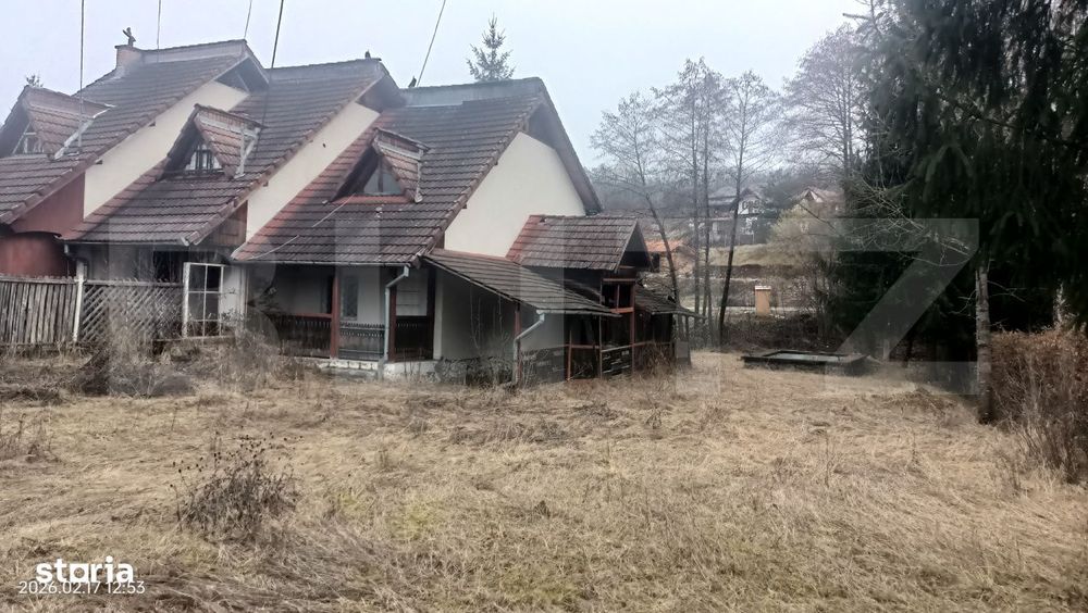 Oaza de liniste in Sovata – Cabana cu piscina, teren generos si par