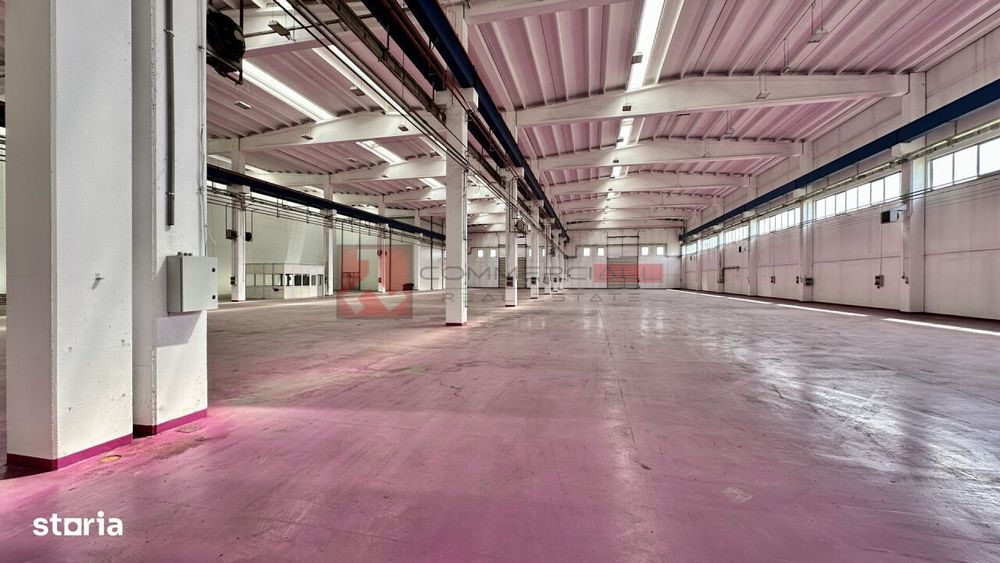 Hala 18490 Mp | Productie | Acces Facil