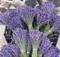 Ulei de lavanda si apa florala de lavanda