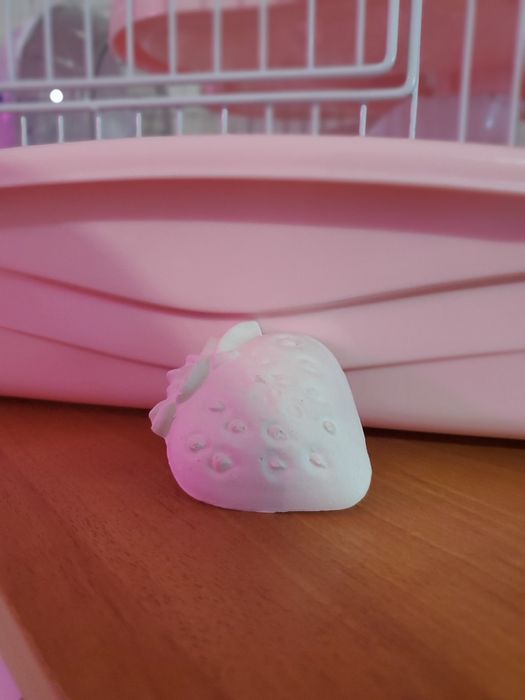 клетка для хомяка