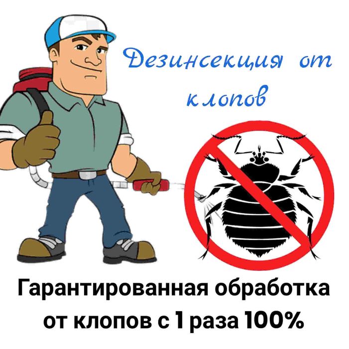 Дезинфекция от клопов и тараканов.