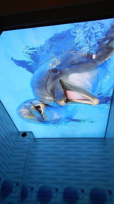 Натежной потолок | Натяжной потолок