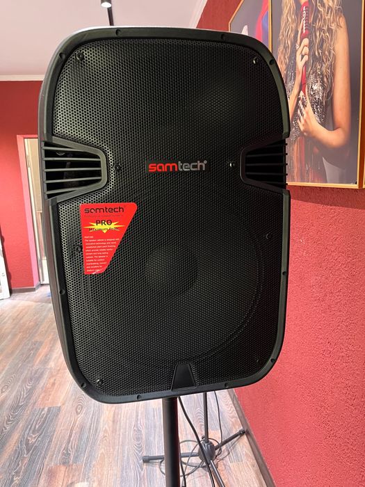 Акустическая система Samtech JKA 12 Pro