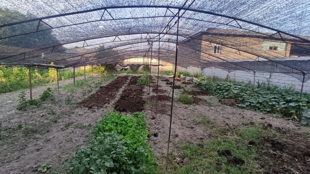 Тепелитса sotiladi