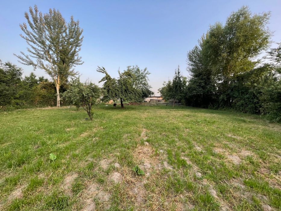 Srochno quruq yer sotiladi