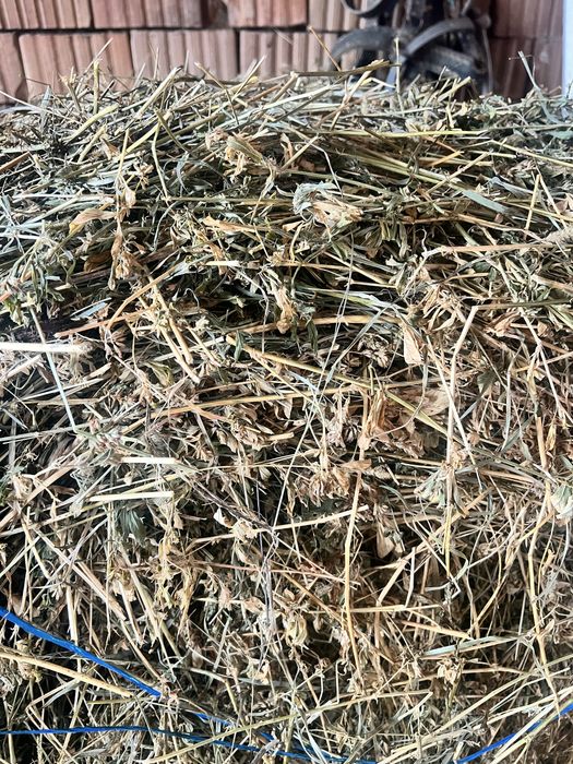 Vand baloti de fan si lucerna