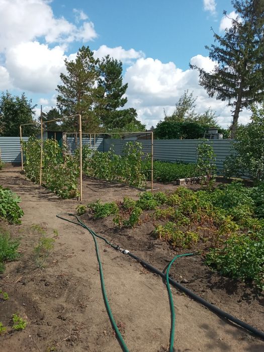 Продам дачу в чапаево